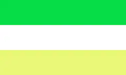 Drapeau de Département de Chinandega