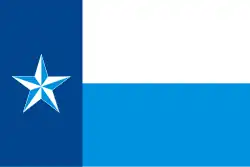 Drapeau de Comté de Dallas(Dallas County)