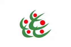 Drapeau de Kitakata-shi