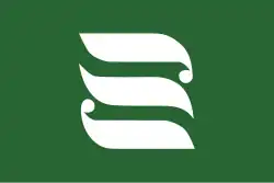 Drapeau de Mizukami-mura