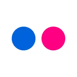 Logo de Flickr