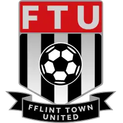 Logo du Flint Town United FC
