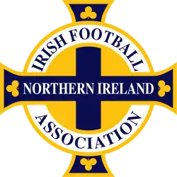 Image illustrative de l’article Association irlandaise de football