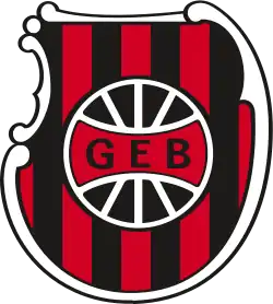 Logo du Brasil de Pelotas