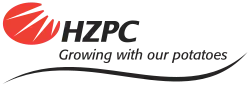 logo de HZPC Holland