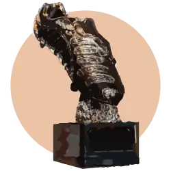 Image associée à la récompense