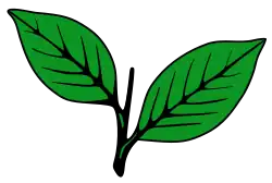 Image illustrative de l’article All India Anna Dravida Munnetra Kazhagam