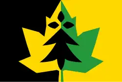 Drapeau de Kost ar c'hoad