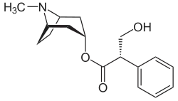 Image illustrative de l’article Hyoscyamine