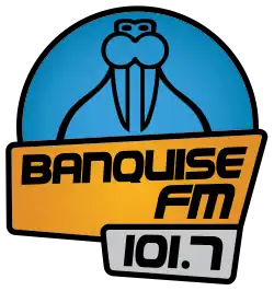 Description de l'image Logo Banquise FM 2016.svg.