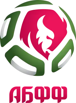 Image illustrative de l’article Fédération biélorusse de football