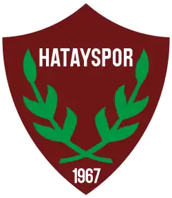 Logo du Hatayspor