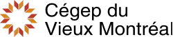 Image illustrative de l’article Cégep du Vieux Montréal