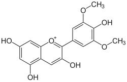 Image illustrative de l’article Malvidine