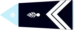 Image illustrative de l’article Maréchal des logis (Gendarmerie française)
