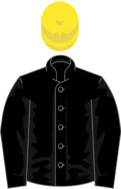 Image illustrative de l’article Stradivarius (cheval)