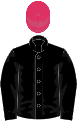 Image illustrative de l’article Personal Ensign