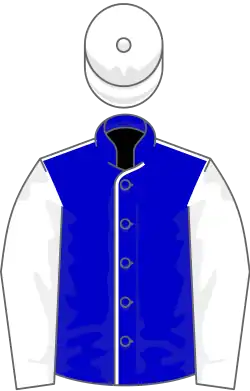 Image illustrative de l’article Solow (cheval)