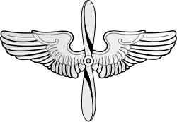 Image illustrative de l’article United States Army Air Service