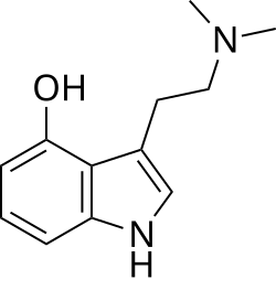 Image illustrative de l’article Psilocine