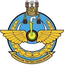 Image illustrative de l’article Force aérienne royale de Brunei