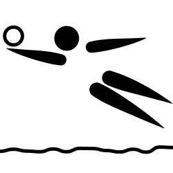 Description de l'image Volleyball (beach) pictogram.svg.