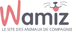 logo de Wamiz