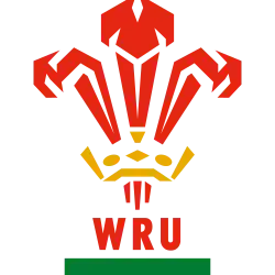 Description de l'image Welsh Rugby Union (logo).svg.