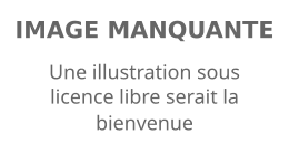 Image illustrative de l’article Tamerlan Tmenov