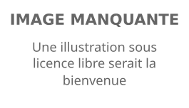 Image illustrative de l’article Thierry Lincou