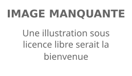 Image illustrative de l’article Alec Brown