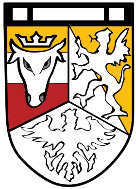 Image illustrative de l’article 258e division d'infanterie