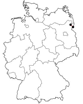 Image illustrative de l’article Bundesstraße 166