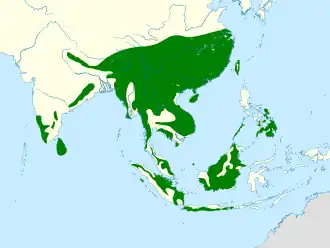 Description de l'image Accipiter trivirgatus distribution map.svg.