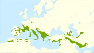 Description de l'image Acer monspessulanum range.svg.