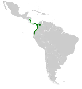 Description de l'image Amazilia amabilis mpa.svg.