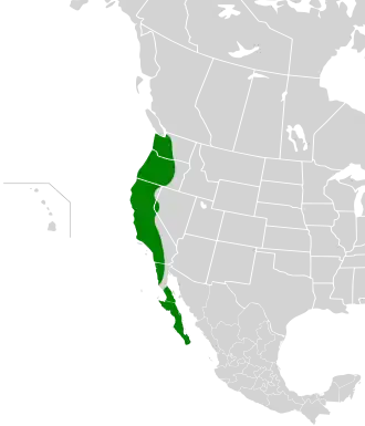 Description de l'image Aphelocoma californica map.svg.