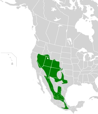 Description de l'image Aphelocoma woodhouseii map.svg.