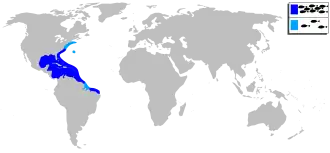 Description de l'image Archosargus probatocephalus mapa.svg.