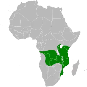 Description de l'image Ardeola rufiventris map.svg.