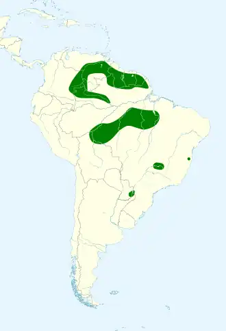 Description de l'image Atticora_melanoleuca_map.svg.