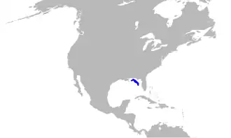 Description de l'image Balaenoptera ricei range.svg.