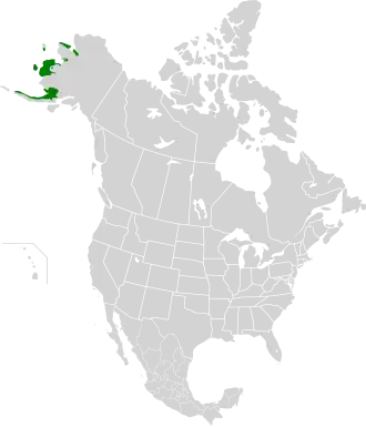 Description de l'image Beringia lowland tundra map.svg.
