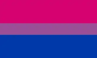 Drapeau de la fierté bisexuelle créé par Michael Page en 1998.