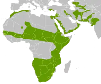 Description de l'image Caracal_Geographical_Range.svg.