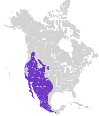 Description de l'image Catherpes mexicanus map.svg.