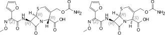 Image illustrative de l’article Céfuroxime