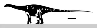Description de l'image Comahuesaurus Skeletal V0.svg.