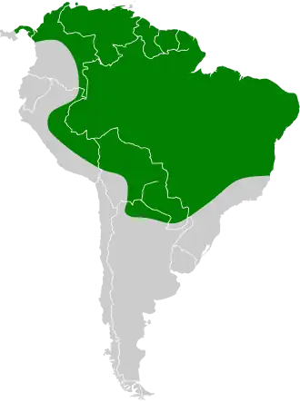 Description de l'image Cynomops planirostris map.svg.