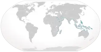 Description de l'image Cypron-Range Taeniura lymma.svg.